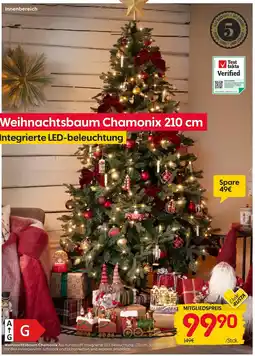 Rusta Weihnachtsbaum Chamonix Angebot
