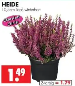 Wreesmann HEIDE Garden Girls Angebot
