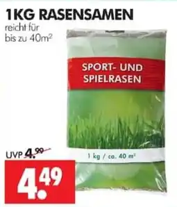 Wreesmann Sport- und Spielrasen Angebot