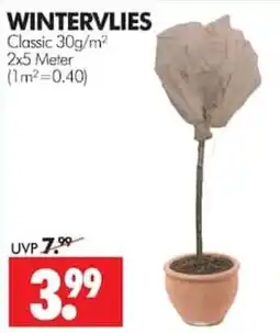 Wreesmann WINTERVLIES Classic Angebot