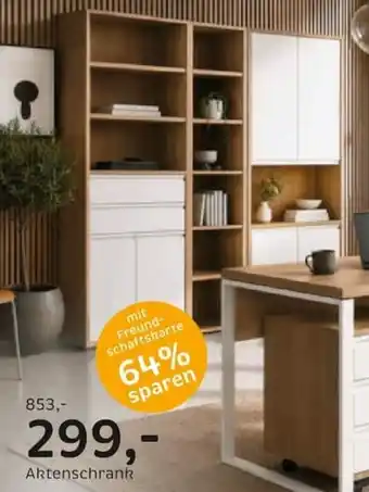 Carryhome Aktenschrank