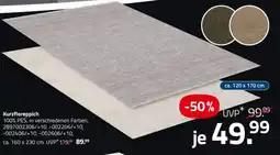 ROLLER Kurzflorepich Angebot