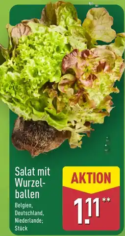 Aldi Nord Salat mit Wurzelballen Angebot