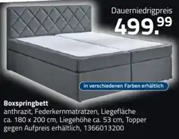 ROLLER Boxspringbett anthrazit Angebot