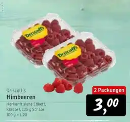 KONSUM Driscoll's Himbeeren Angebot