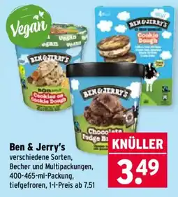 Wasgau Ben & Jerry's Angebot
