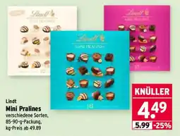Wasgau Lindt Mini Pralines Angebot