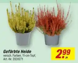 toom Baumarkt Gefärbte Heide Angebot