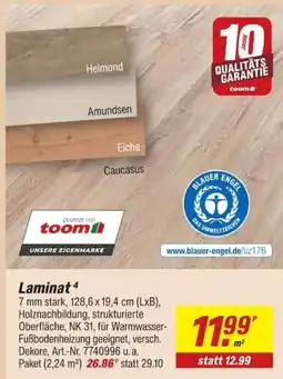 toom Baumarkt Laminat toom Angebot