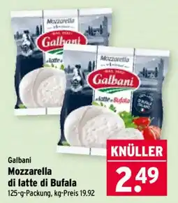 Wasgau Galbani Mozzarella di latte di Bufala Angebot