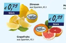 Wasgau Zitronen Sanlucar Angebot