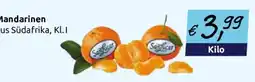 Wasgau Mandarinen Safi Angebot