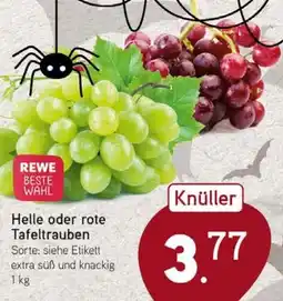 Dornseifer Knüller Tafeltrauben Angebot