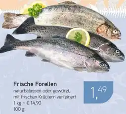 Dornseifer Frische Forellen Angebot
