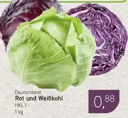 Dornseifer Rot und Weißkohl Angebot