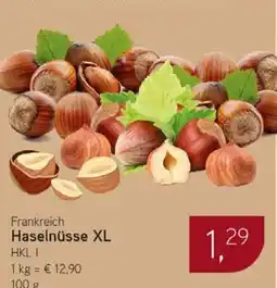 Dornseifer Frankreich Haselnüsse XL Angebot