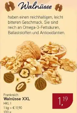 Dornseifer Frankreich Walnüsse XXL Angebot