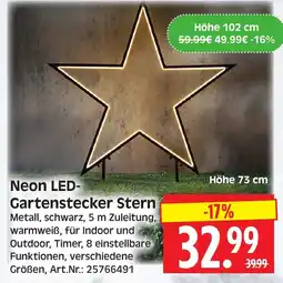 Herkules Baumarkt Neon LED-Gartenstecker Stern Angebot