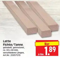Herkules Baumarkt Latte Fichte/Tanne Angebot