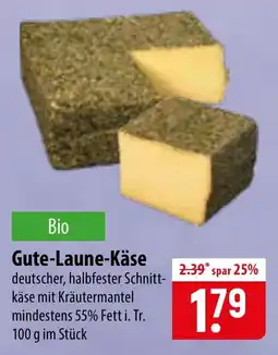 Famila Nord Ost Gute-Laune-Käse Angebot