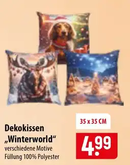 Famila Nord Ost Dekokissen "Winterworld" Angebot