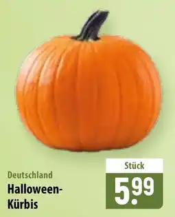 Famila Nord Ost Halloween-Kürbis Angebot