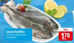 Famila Nord Ost Ganze Forellen Angebot