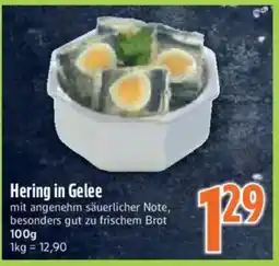inkoop Hering in Gelee Angebot
