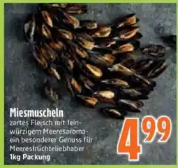 inkoop Miesmuscheln Angebot