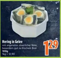 inkoop Hering in Gelee Angebot