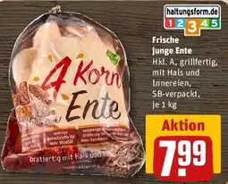 REWE 4 Korn Ente Angebot