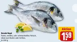 REWE Dorade Royal Angebot