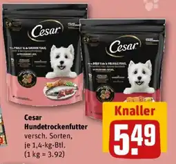 REWE Cesar Hundetrockenfutter Angebot