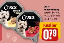 REWE Cesar Hundenahrung Angebot
