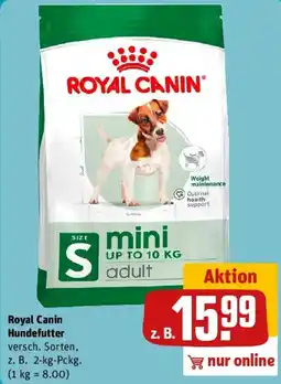 REWE Royal Canin Hundefutter Angebot
