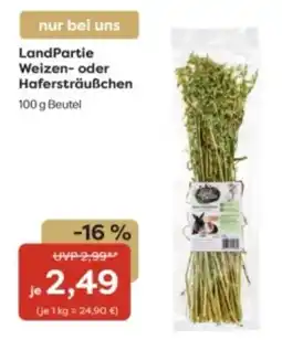 Zoo & Co LandPartie Weizen- oder Hafersträußchen Angebot