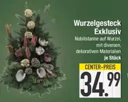 E-Center Wurzelgesteck Exklusiv Angebot
