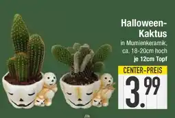 E-Center Halloween-Kaktus in Mumienkeramik Angebot