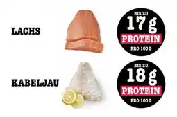 Scheck-in-Center LACHS Angebot