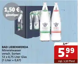 Getränke Quelle BAD LIEBENWERDA Mineralwasser Angebot