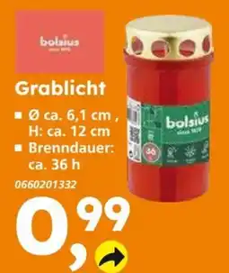 Globus Baumarkt Grablicht bolsius Angebot