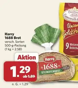 Combi Harry 1688 Steinfönenbrot Angebot