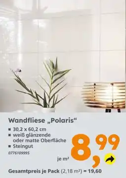 Globus Baumarkt Wandfliese „Polaris“ Angebot