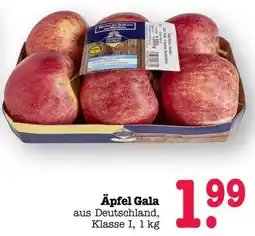 Scheck-in-Center Äpfel Gala Angebot