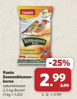 Combi Panto Sonnenblumenkerne Angebot