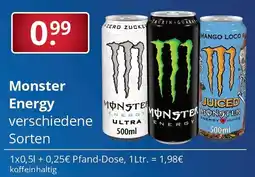 Sagasser Monster Energy Angebot