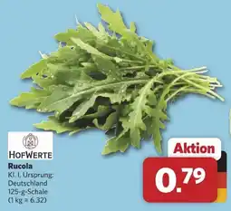 Combi HOFWERTE Rucola Angebot