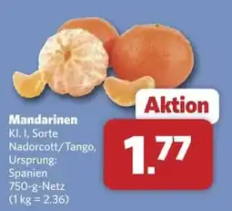 Combi Mandarinen Angebot