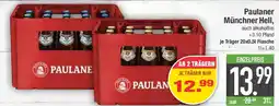 E-Center Paulaner Münchner Hell Angebot