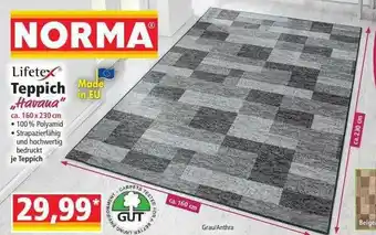 Norma Lifetex Teppich „havana” Angebot